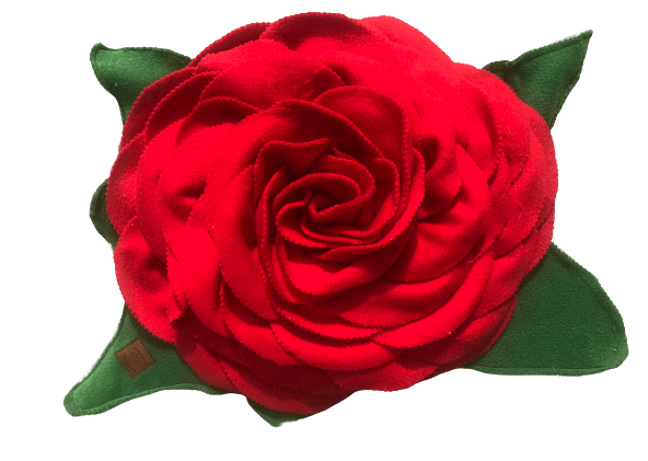 mata węchowa róża czerwona